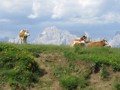 passo di rutorto